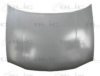 VW 1J0823031A Bonnet